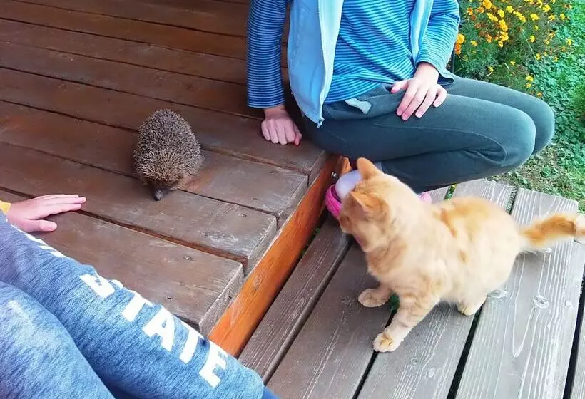 Majatalo Guest House Family Green