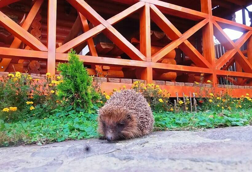 膳宿费 Guest House Family Green