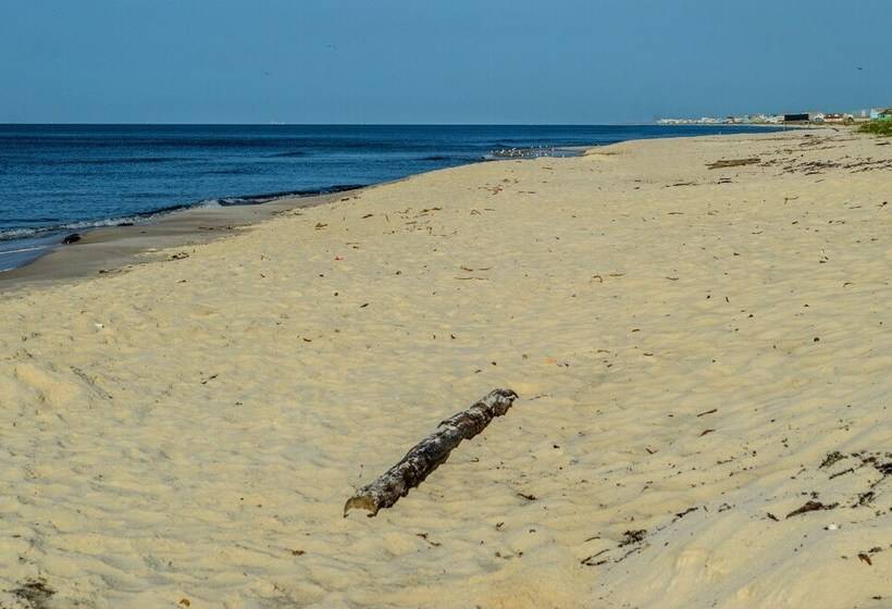 The Rookery Iii 4007  Flirty Flamingo  3 Br Cottage