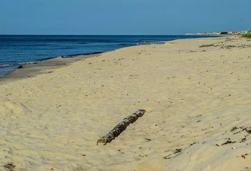 The Rookery Iii 4007  Flirty Flamingo  3 Br Cottage