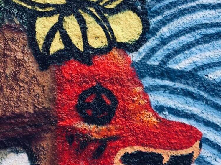 Hostel Surfari Punta Rocas