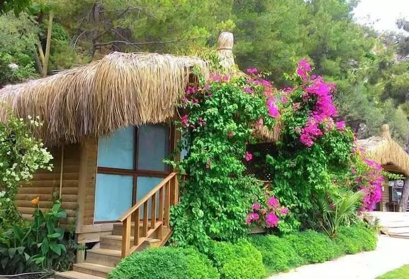 ホテル Azra S Bungalow Houses