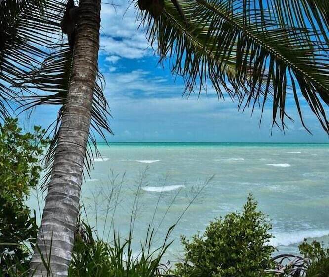 酒店 Hacienda  Jadan