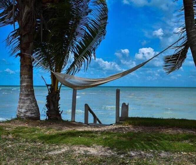 酒店 Hacienda  Jadan