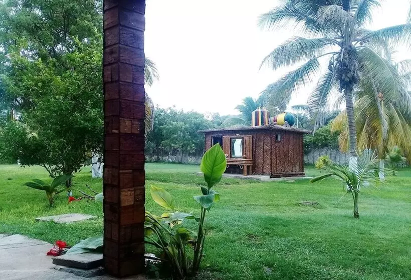 ホテル Hacienda  Jadan