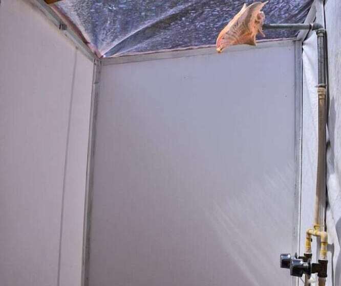 酒店 Hacienda  Jadan