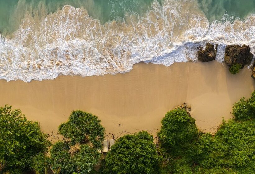 هتل Msambweni Beach House