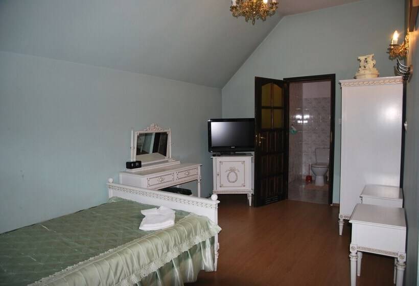 酒店 Palac W Czyzowie Szlacheckim