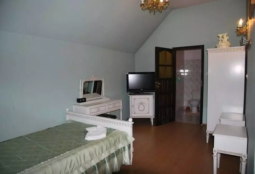 Hotelli Palac W Czyzowie Szlacheckim