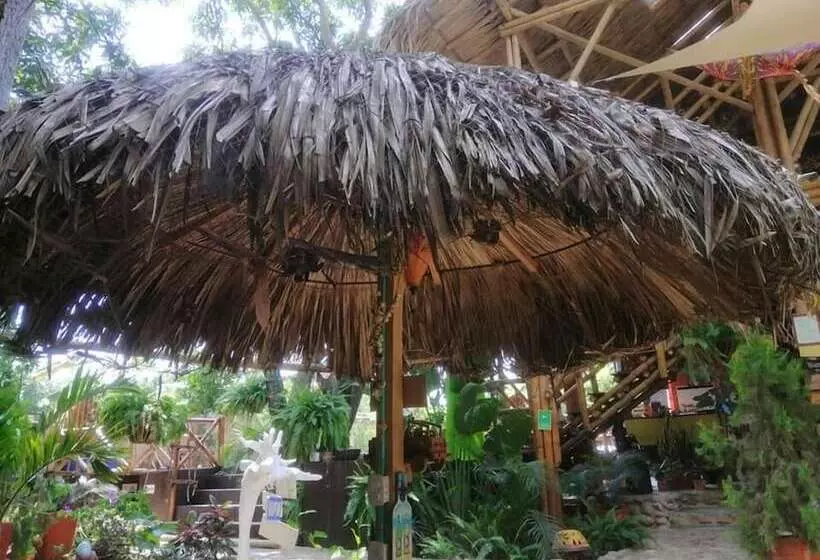 La Natura Hostel