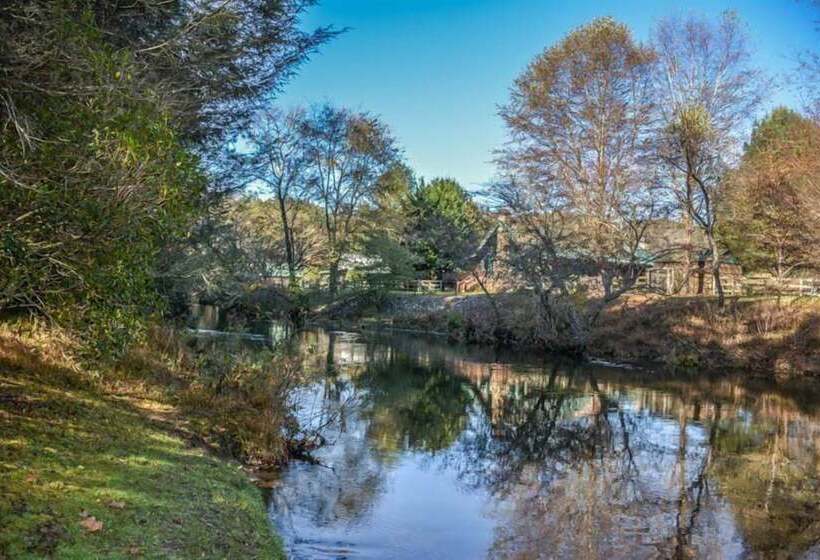 Rainbow Trout Condo On The Toccoa