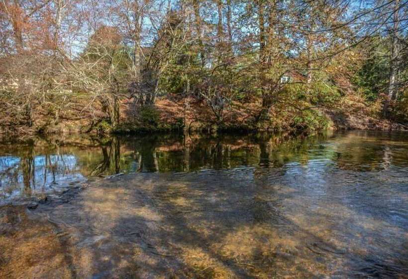 Rainbow Trout Condo On The Toccoa