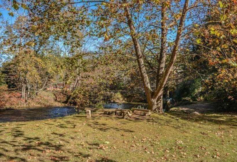 Rainbow Trout Condo On The Toccoa