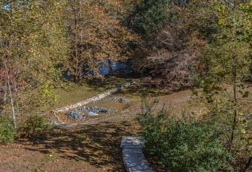 Rainbow Trout Condo On The Toccoa