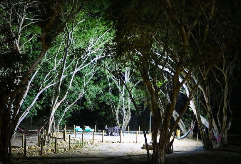 Urantia Planet Hostel