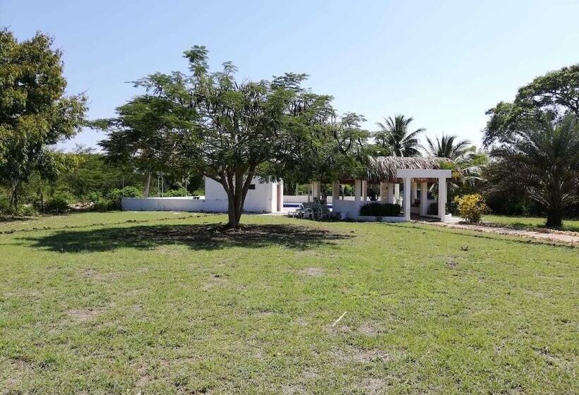 Urantia Planet Hostel