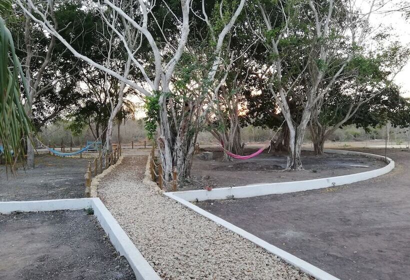 Urantia Planet Hostel