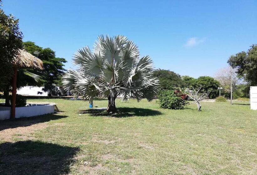 Urantia Planet Hostel