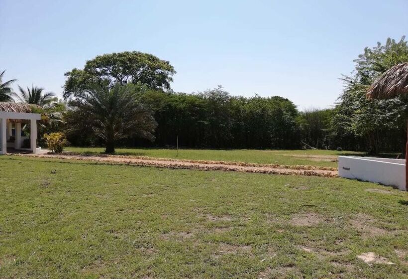 Urantia Planet Hostel