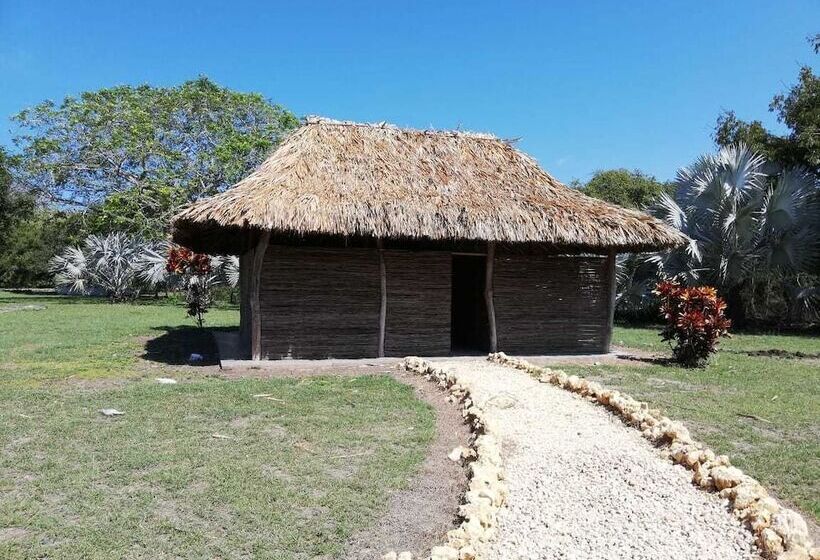 Urantia Planet Hostel