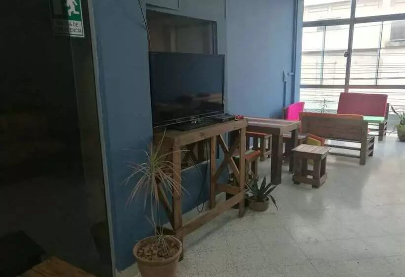 Hostal El Farol   Hostel