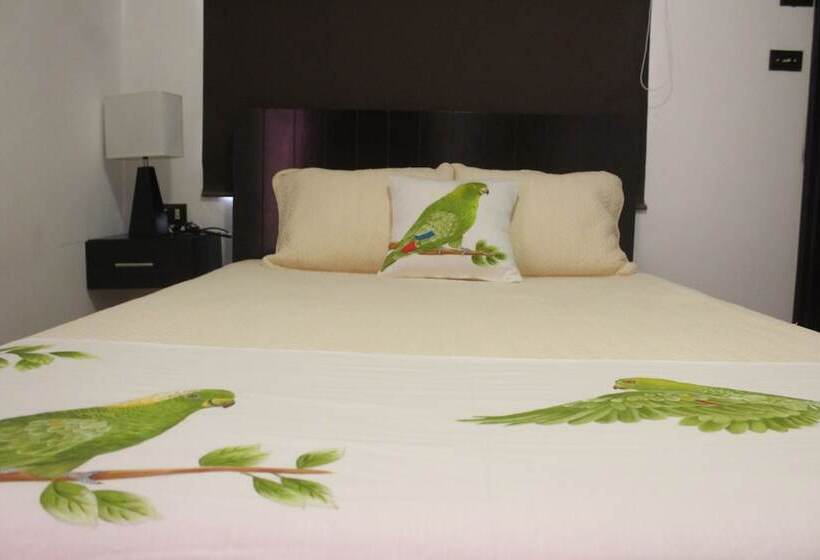 Отель Casa Alberto