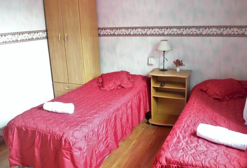 酒店 De France Rio Ceballos