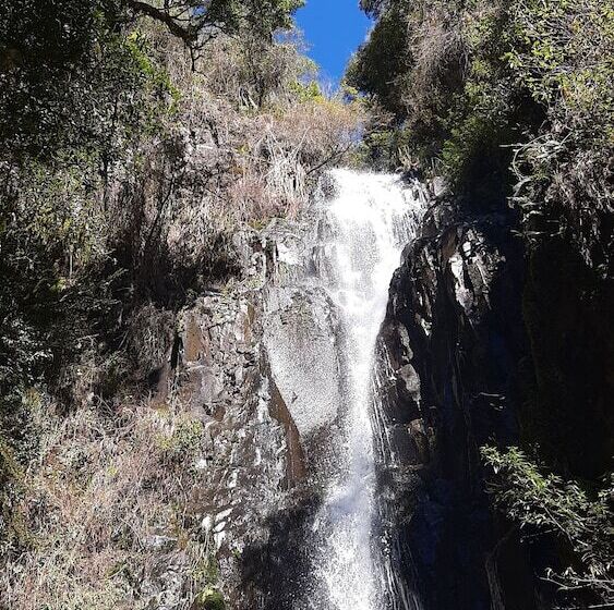 فندق Eco Hospedagem Yahoo