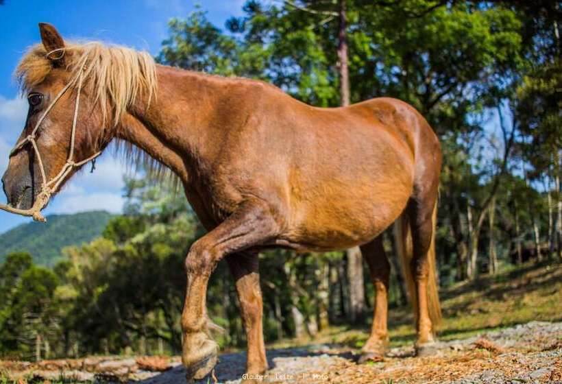 فندق Eco Hospedagem Yahoo