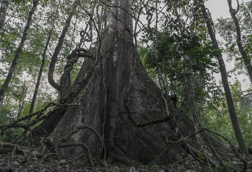 فندق Enashawa Lodge