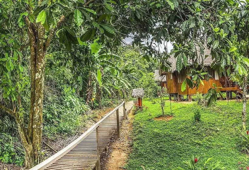 ホテル Tambopata Ecolodge