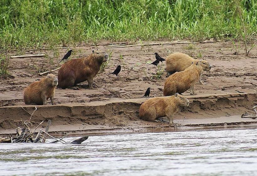 هتل Tambopata Ecolodge