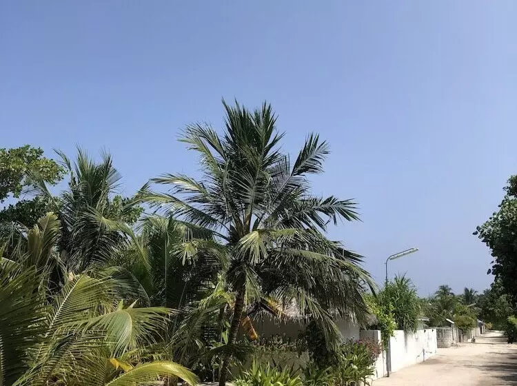 پانسیون Tropical Sands Kelaa