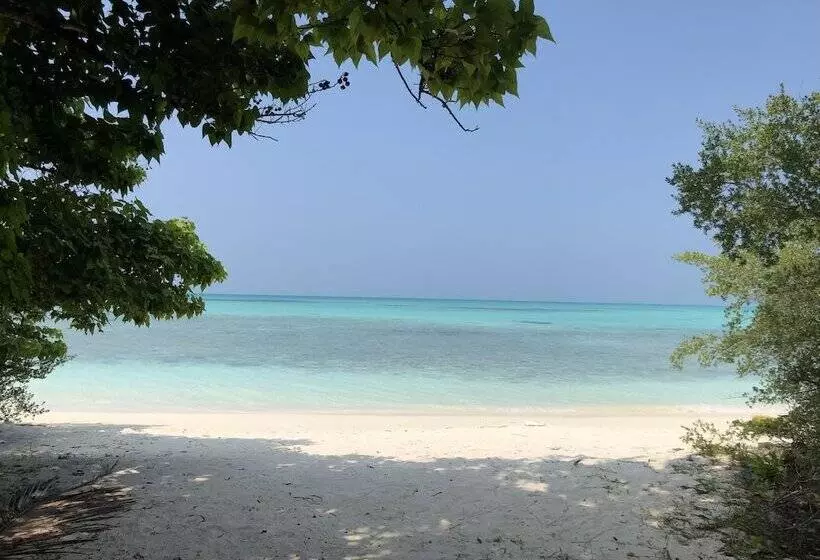 پانسیون Tropical Sands Kelaa