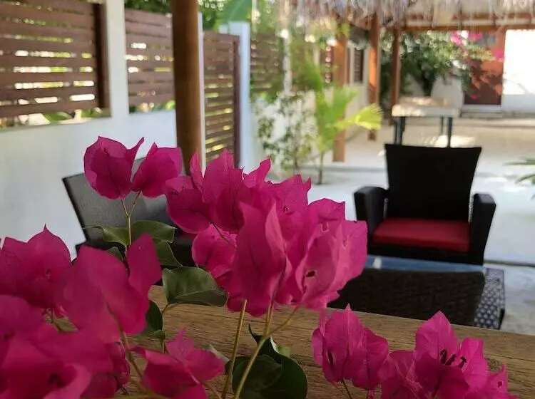 پانسیون Tropical Sands Kelaa