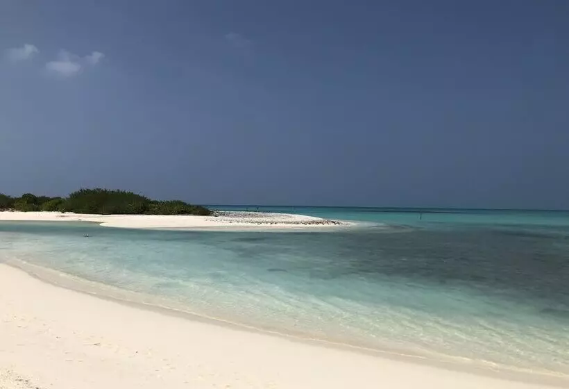 پانسیون Tropical Sands Kelaa