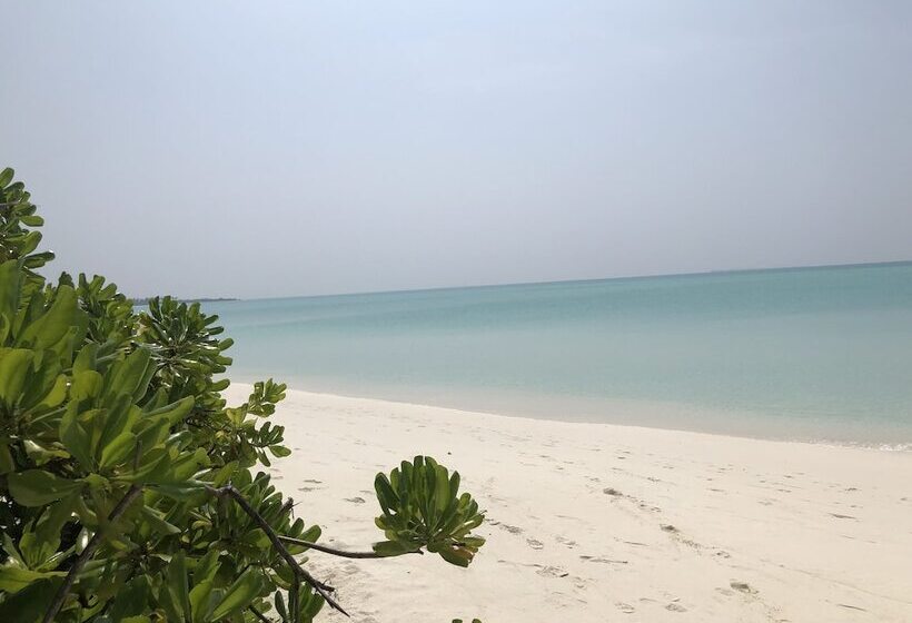 پانسیون Tropical Sands Kelaa