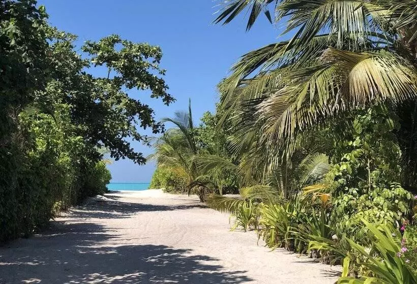 پانسیون Tropical Sands Kelaa