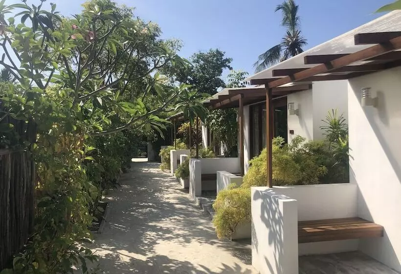 پانسیون Tropical Sands Kelaa