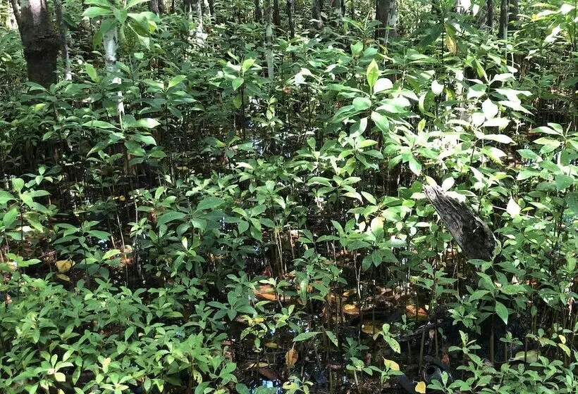 پانسیون Tropical Sands Kelaa