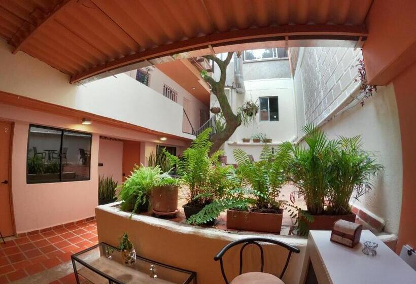 Общежитие Hostal Casa Primavera