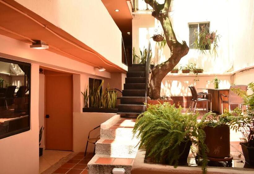 Общежитие Hostal Casa Primavera