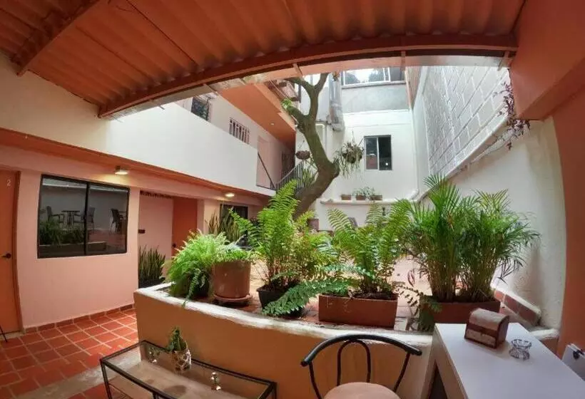 ユースホステル Hostal Casa Primavera