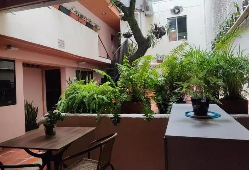 ユースホステル Hostal Casa Primavera