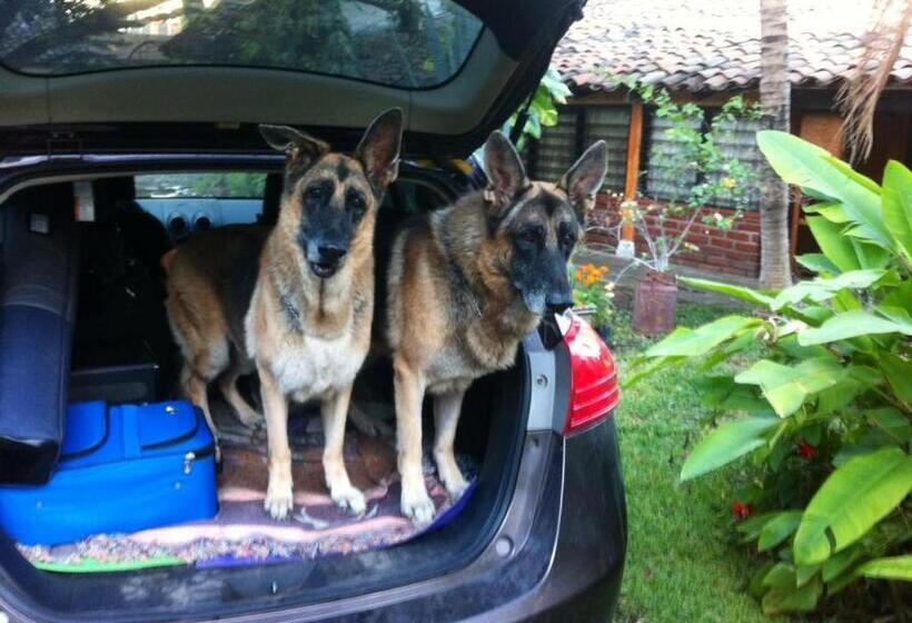 تختخواب و صبحانه Caleta