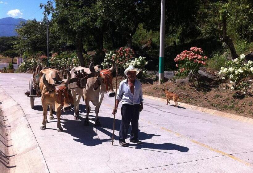 تختخواب و صبحانه Caleta