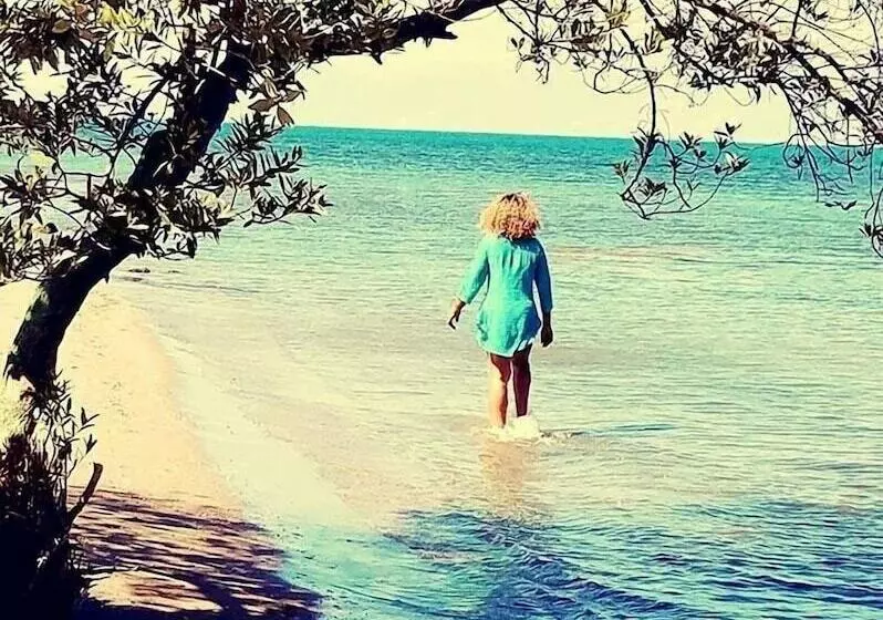 تختخواب و صبحانه Evasion