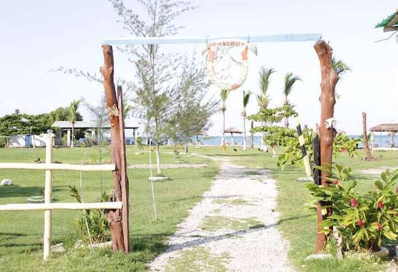 تختخواب و صبحانه Evasion