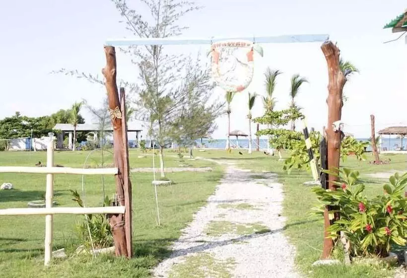 تختخواب و صبحانه Evasion