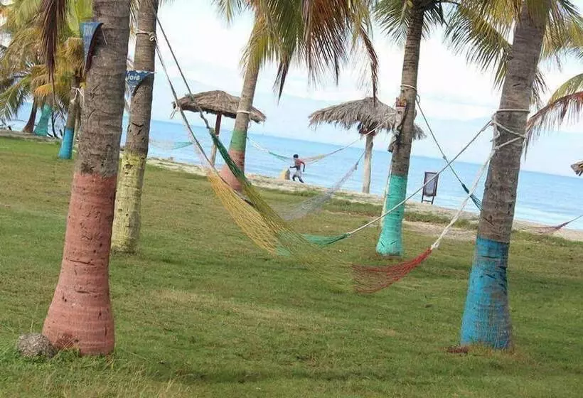 تختخواب و صبحانه Evasion